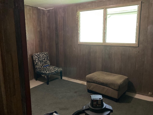 living area with wooden walls