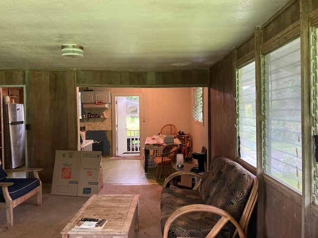 living area with wood walls