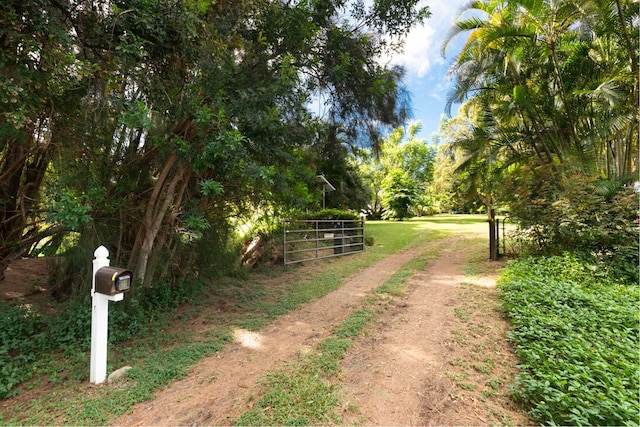 view of property's community with a lawn