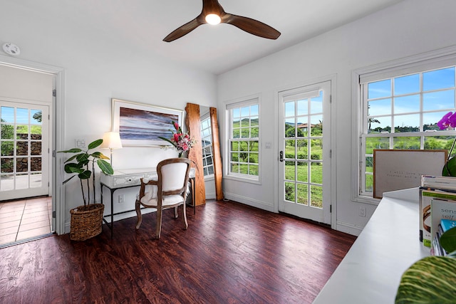 entryway featuring a wealth of natural light, dark hardwood / wood-style floors, and ceiling fan