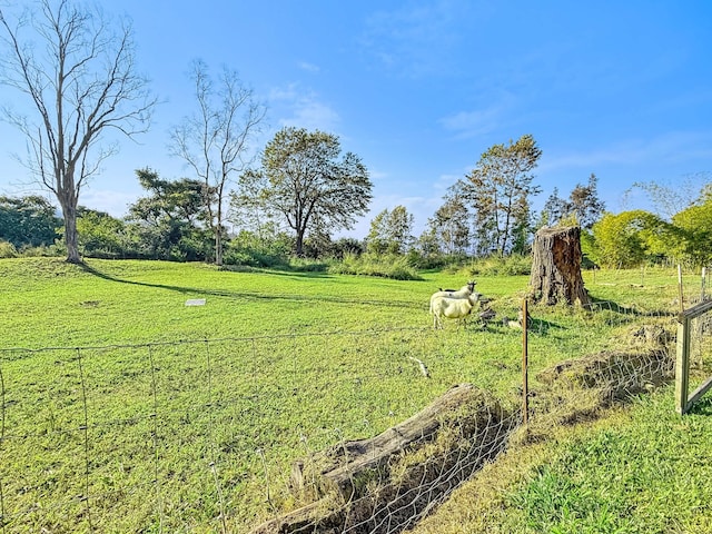 view of yard featuring a rural view