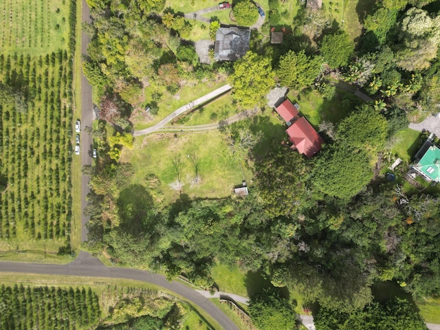 aerial view with a rural view