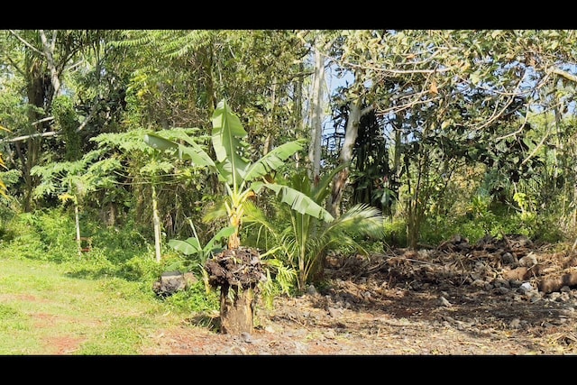 Listing photo 2 for Puhi St, Pahoa HI 96778