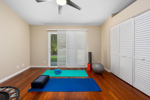 workout room featuring dark wood-type flooring and ceiling fan