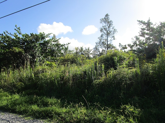 8th Ave, Keaau HI, 96749 land for sale