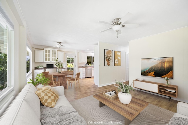 living room with crown molding, ceiling fan, and light hardwood / wood-style flooring