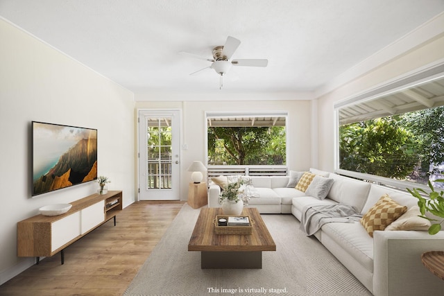 living room featuring a wealth of natural light, ceiling fan, and light hardwood / wood-style flooring