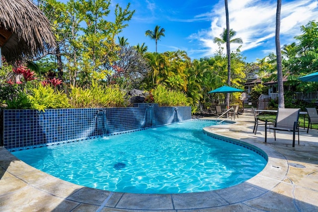 view of swimming pool featuring a patio area and pool water feature