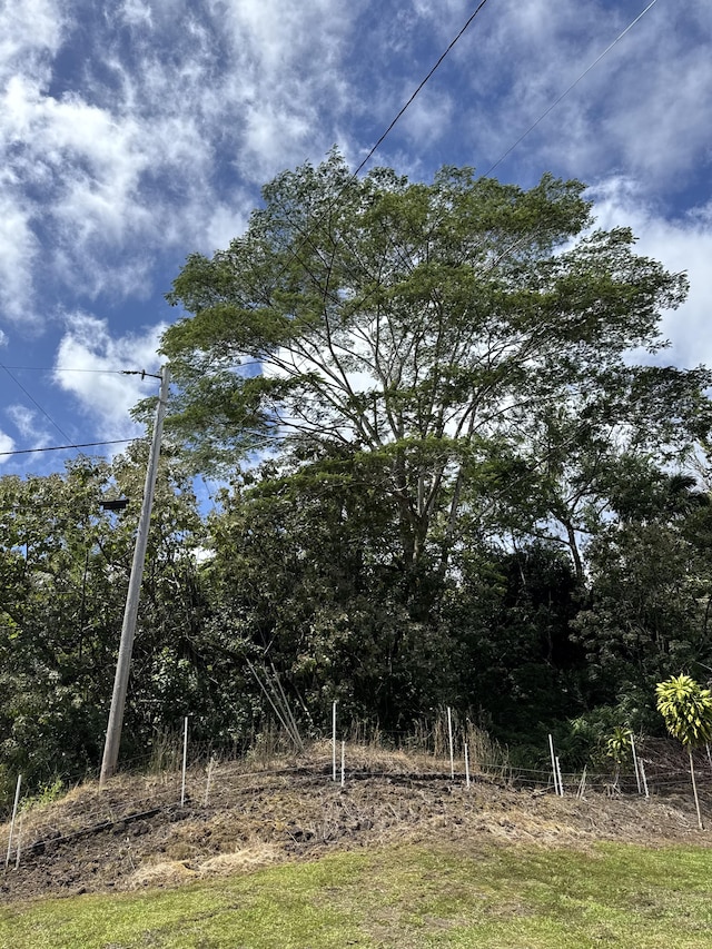 Listing photo 3 for Kaueleau Rd, Pahoa HI 96778