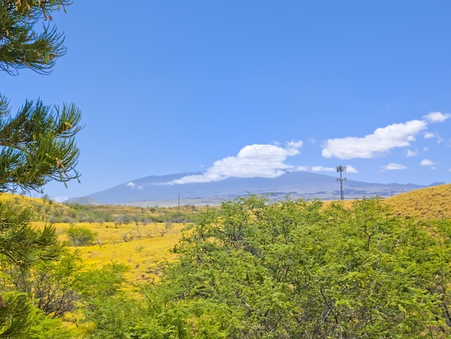 view of mountain feature