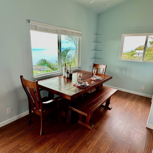 dining room with dark hardwood / wood-style floors