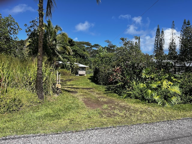 view of yard