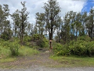 11-3214 Laupaka Rd, Volcano HI, 96785 land for sale