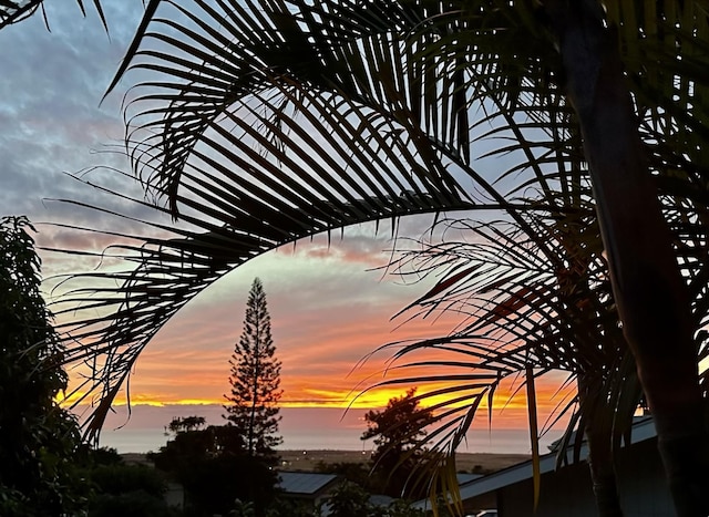 view of nature at dusk