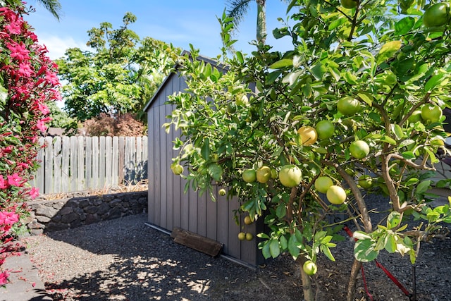 view of yard with a storage unit