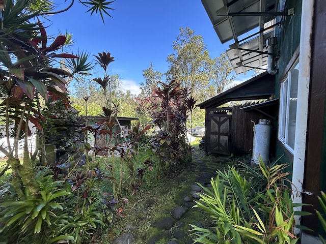 view of yard featuring a storage unit