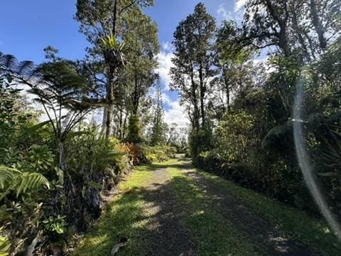 view of local wilderness