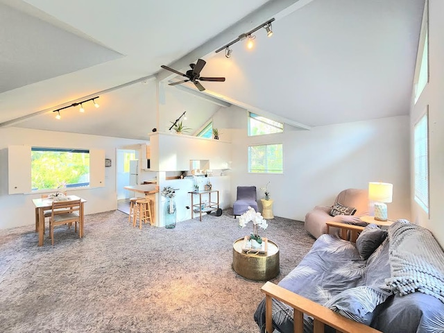 living room featuring high vaulted ceiling, track lighting, beamed ceiling, ceiling fan, and carpet