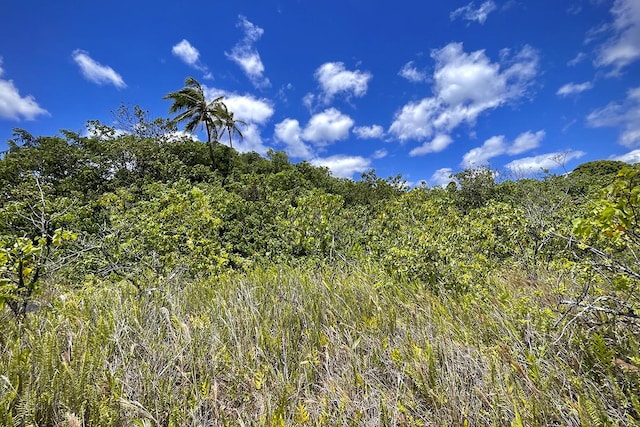 Listing photo 3 for 12-4786 Kaimu Chain Of Craters Rd, Pahoa HI 96778