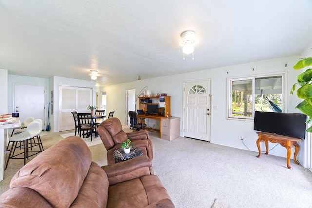 living room with light carpet