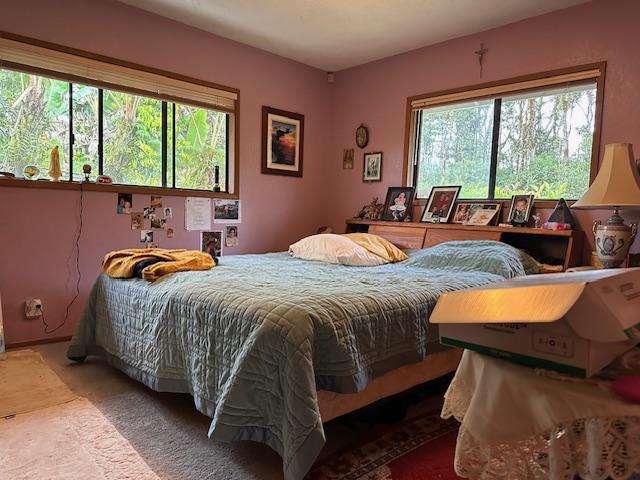 bedroom featuring carpet floors and multiple windows