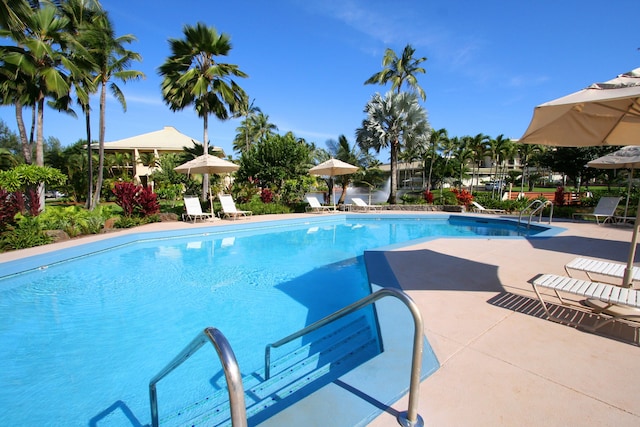 view of swimming pool featuring a patio area