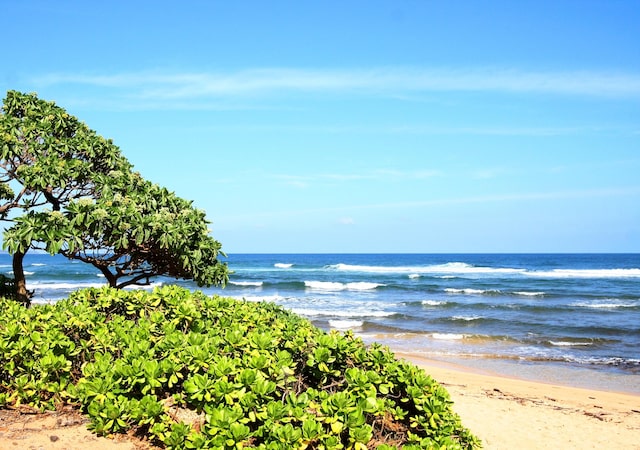 property view of water featuring a view of the beach