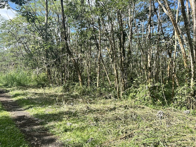 Ginger Rd, Pahoa HI, 96778 land for sale