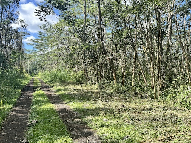 Listing photo 2 for Pikake Rd, Pahoa HI 96778