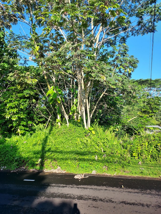 Listing photo 2 for 15-714 Kahakai Blvd, Pahoa HI 96778