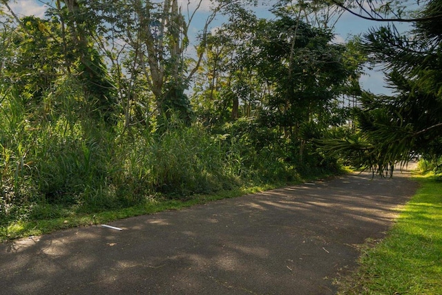 Holiday Rd, Pahoa HI, 96778 land for sale