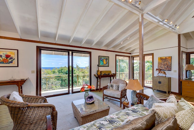 living room with lofted ceiling with beams and light hardwood / wood-style floors