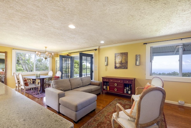 living room with crown molding, dark wood-type flooring, a textured ceiling, and french doors