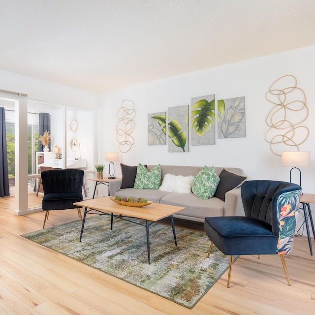 living room featuring wood-type flooring