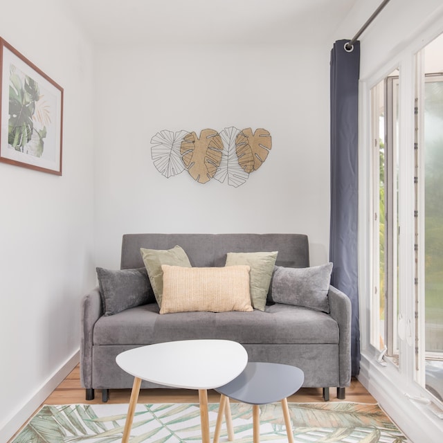 living room featuring plenty of natural light and hardwood / wood-style floors