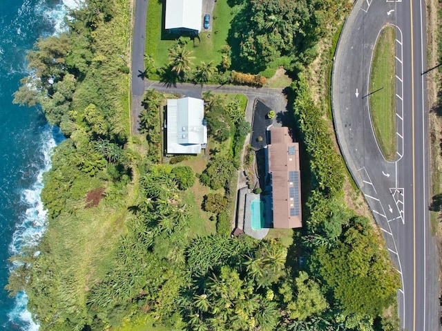 bird's eye view