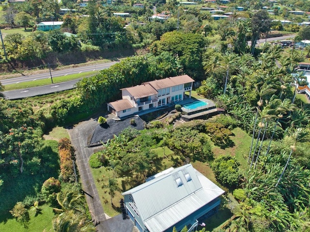 bird's eye view