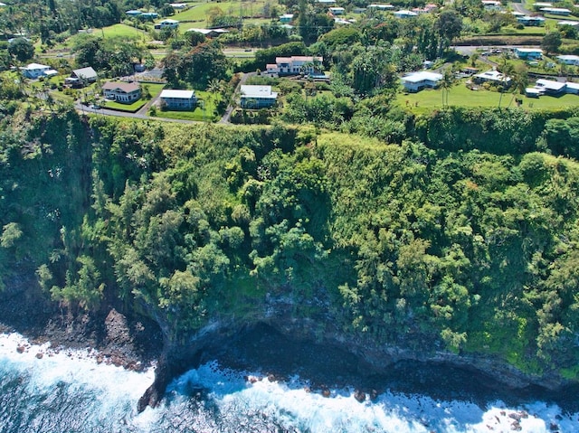birds eye view of property featuring a forest view