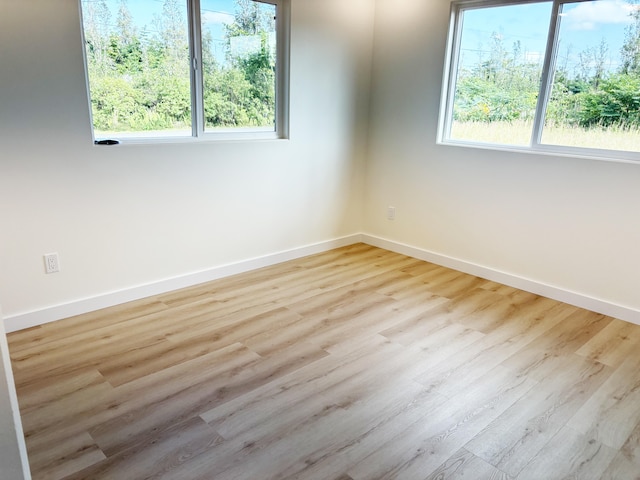 spare room featuring light hardwood / wood-style flooring and a wealth of natural light