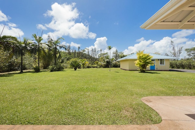 view of yard with an outdoor structure