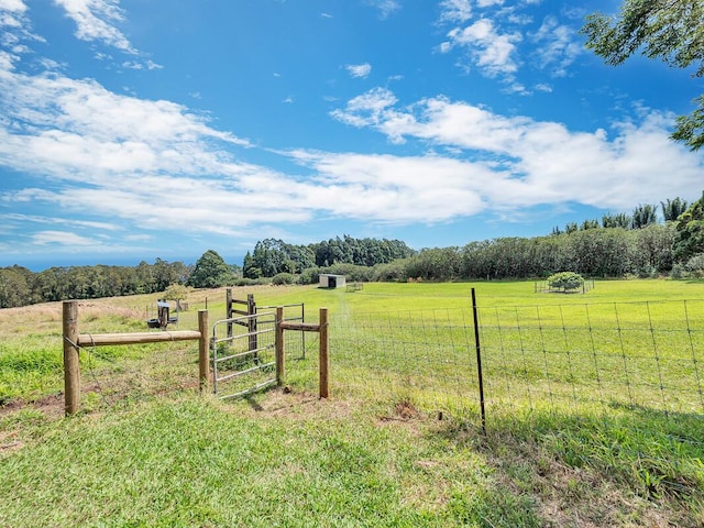 view of yard with a gate, a rural view, and fence