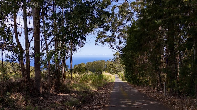 view of road with a water view