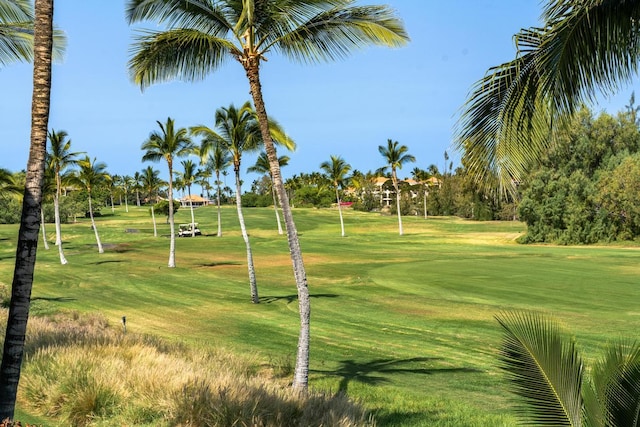 surrounding community featuring a lawn