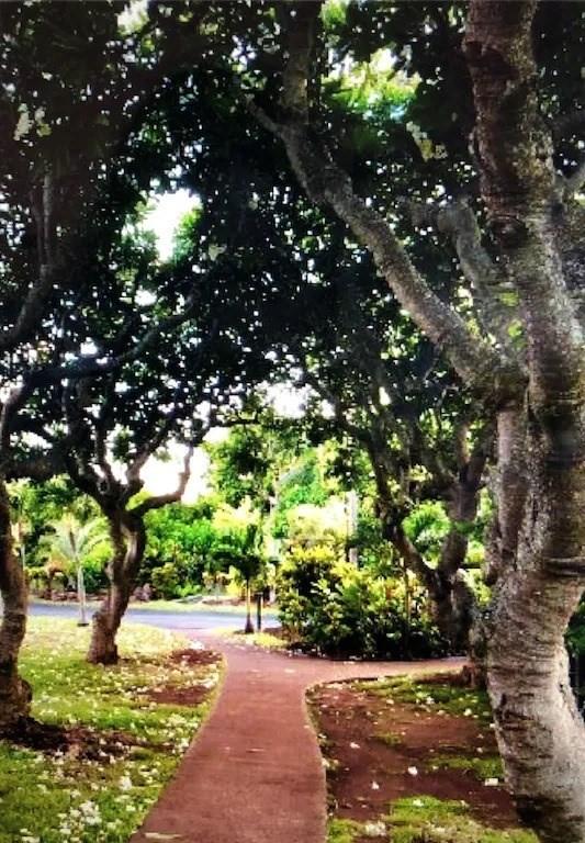 view of home's community