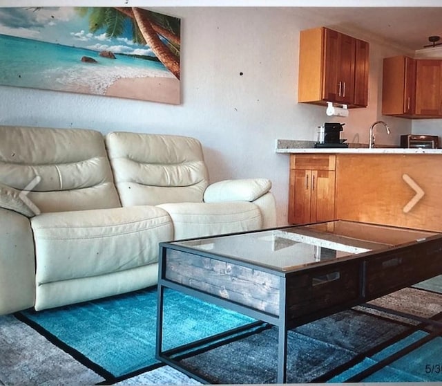 living room featuring sink