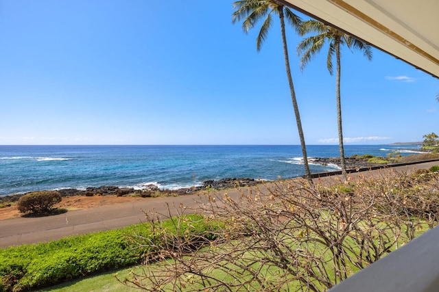 water view with a view of the beach