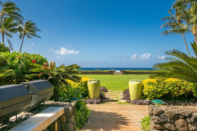 surrounding community featuring a water view and a yard