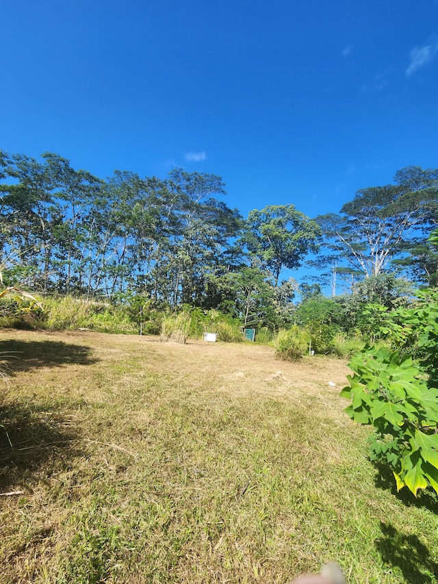 Listing photo 3 for 15-2723 Ina St, Pahoa HI 96778