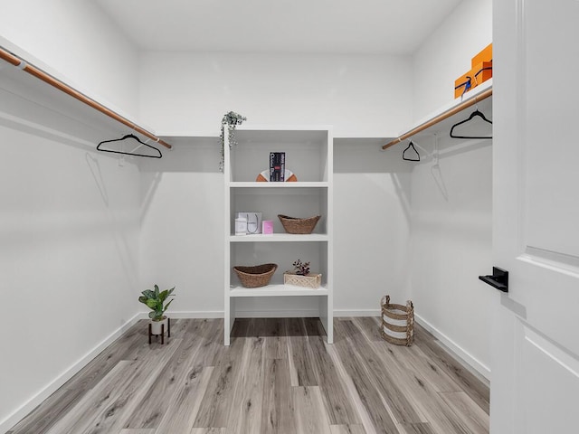 spacious closet featuring light wood-type flooring