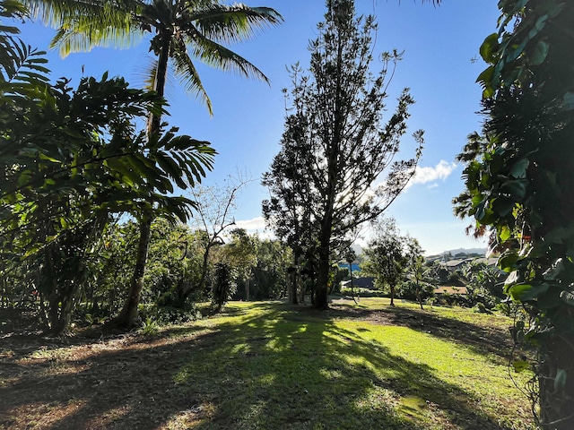 Listing photo 3 for 6546 Kuamoo Rd Unit 1, Kapaa HI 96746